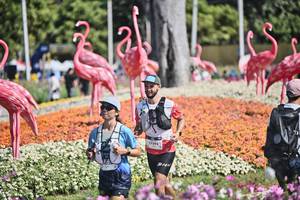 BIB: 
                            <button type="button" onclick="openModal(27793212)" class="btn btn-primary btn-sm float-right btn-popup" data-toggle="modal" data-target=".modal-high-quality">
                        <i class="fas fa-shopping-cart"></i> Add to Cart
                    </button>
                                            <button type="button" onclick="isThisMe(27793212, true)" class="btn btn-success btn-sm float-right btn-popup btn-isme hidden" data-toggle="tooltip" data-placement="bottom" title="นี่คือรูปของคุณใช่ไหม คลิกที่นี่เพื่อเอาเข้าอัลบั้ม">
                        <i class="fas fa-plus"></i> Add to album
                    </button>
                    <button type="button" onclick="isThisMe(27793212, false)" class="btn btn-warning btn-sm float-right btn-popup btn-isnotme hidden">
                        <i class="fas fa-ban"></i> Remove from album
                    </button>